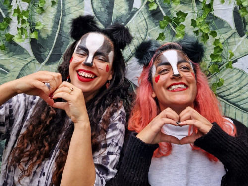 Love Badgers